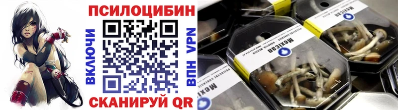 Псилоцибиновые грибы Psilocybe  сколько стоит  Красный Сулин 