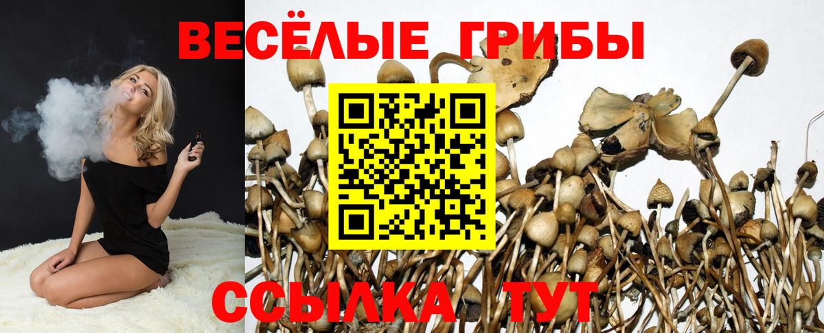 Красный Сулин  Псилоцибиновые грибы мицелий  Вход с VPN 